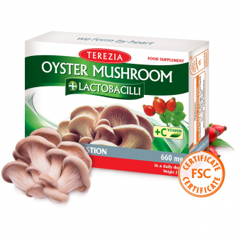 Oyster mushroom | Raw materials guide | Food supplements | Terezia 